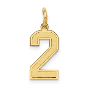 14k Yellow Gold Satin Brush Finish Small Size Number 2 Charm Pendant
