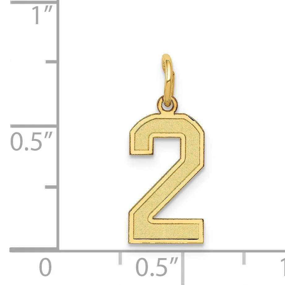 14k Yellow Gold Satin Brush Finish Small Size Number 2 Charm Pendant