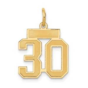 14k Yellow Gold Satin Brush Finish Small Size Number 30 Charm Pendant