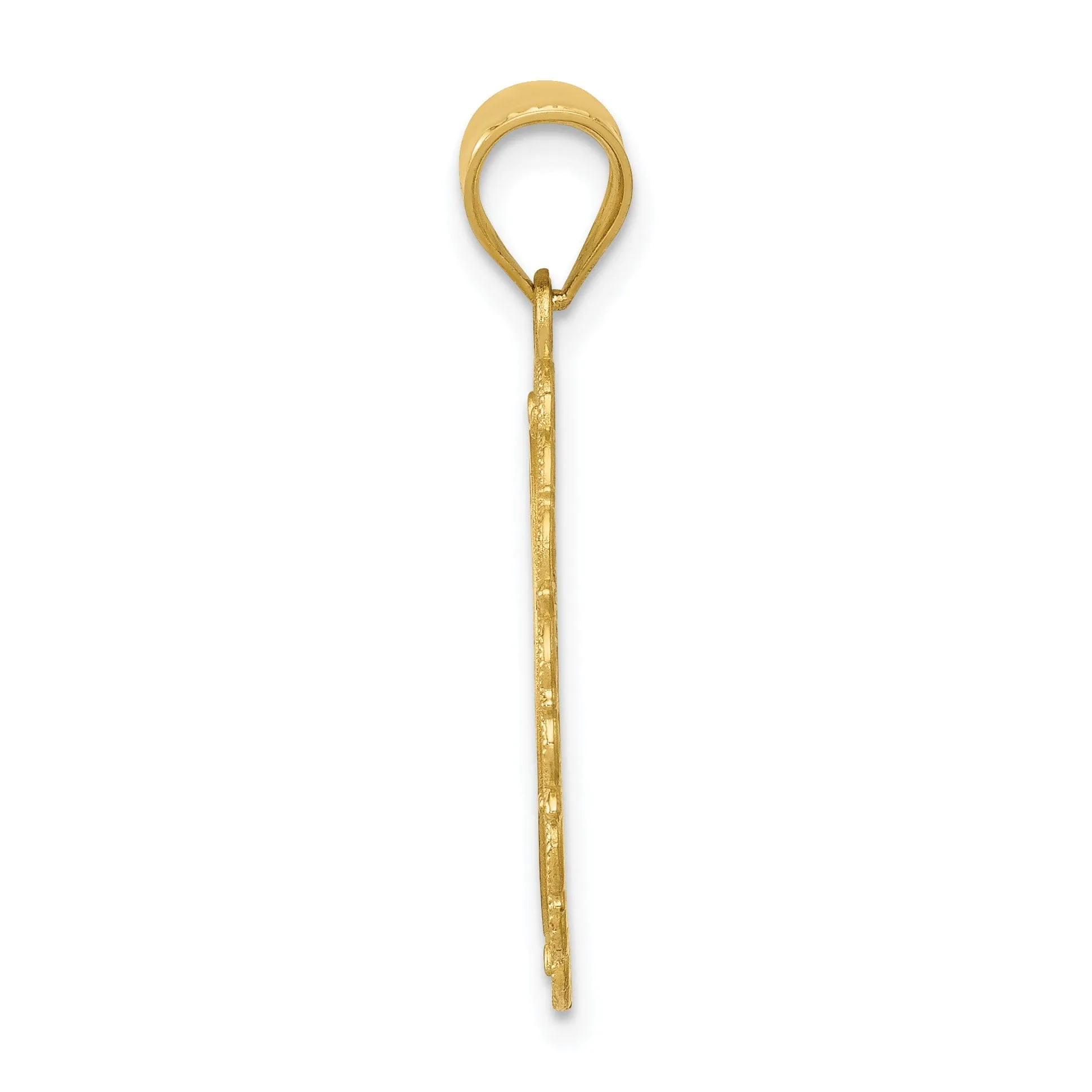 14k Yellow Gold Solid Leo Zodiac Pendant