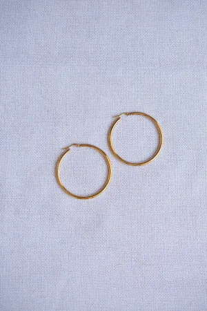 Classic Large Latch Back Gold Hoop Earrings