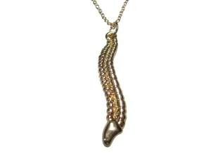 Gold Toned Medical Anatomical Cervical Vertebrae Bone Pendant Necklace