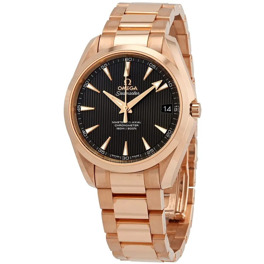 Omega Seamaster Aqua Terra Automatic Chronometer Men's Watch 231.50.39.21.06.003