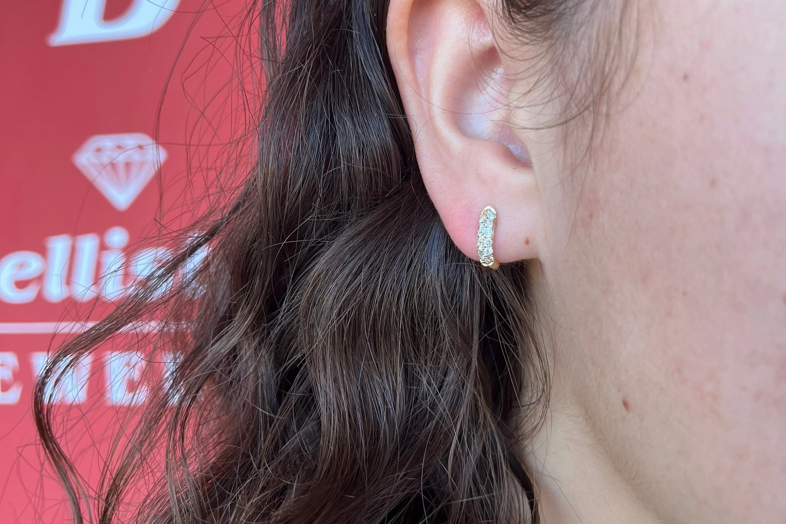 Small Mined Diamond Hoops 0.47 TCW
