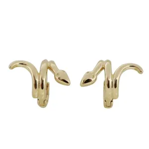 Sweet Snake Charm Hoop Earrings